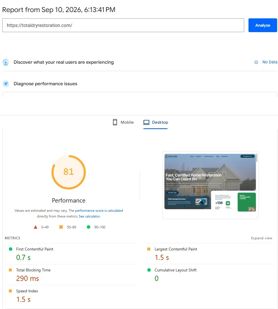 PageSpeed Insights desktop before: performance 81, LCP 1.5 seconds
