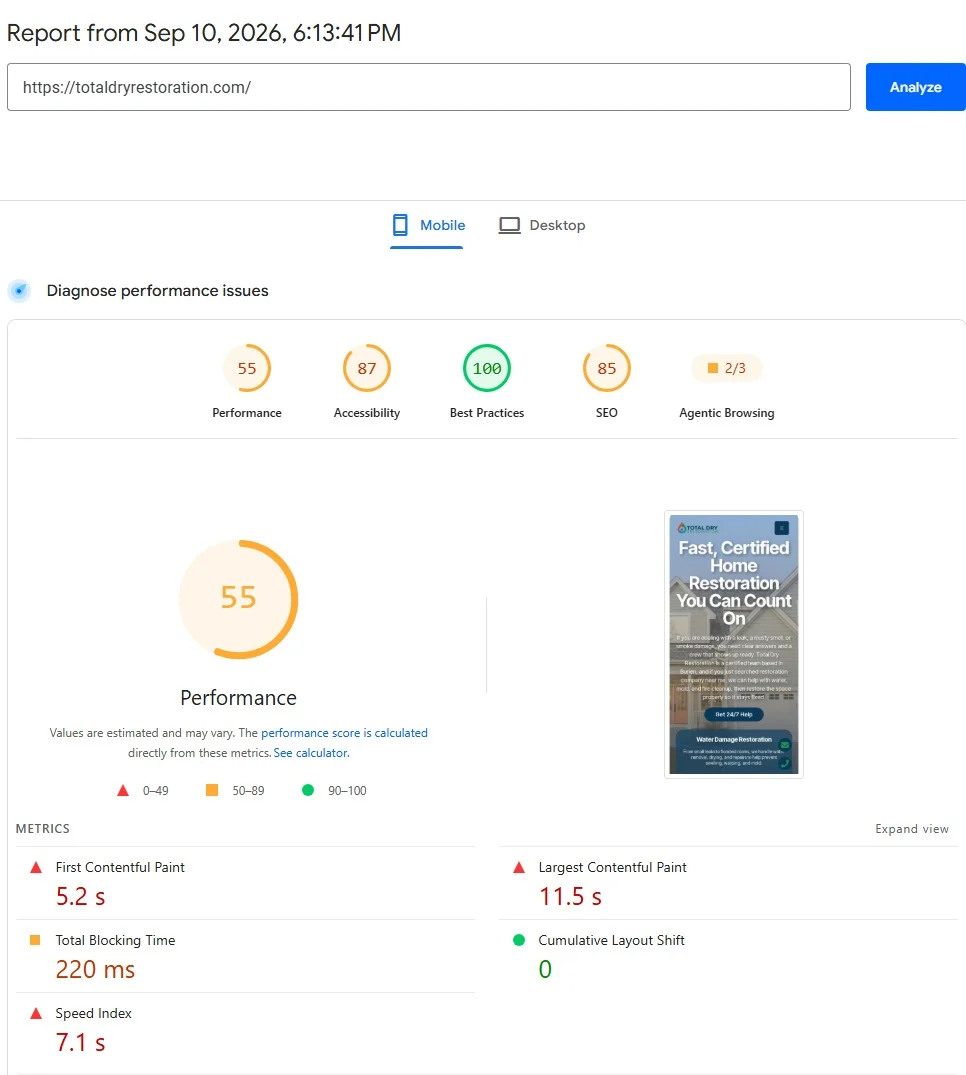 PageSpeed Insights mobile before: performance 55, LCP 11.5 seconds