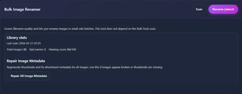 Bulk Image Renamer dashboard with library stats and repair button